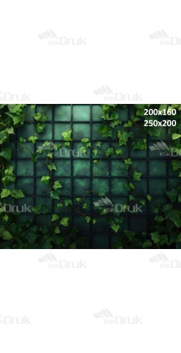 Tło fotograficzne 2836